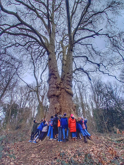 bushcraft-birthday-party-london