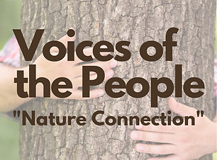 voices of the people.jpeg