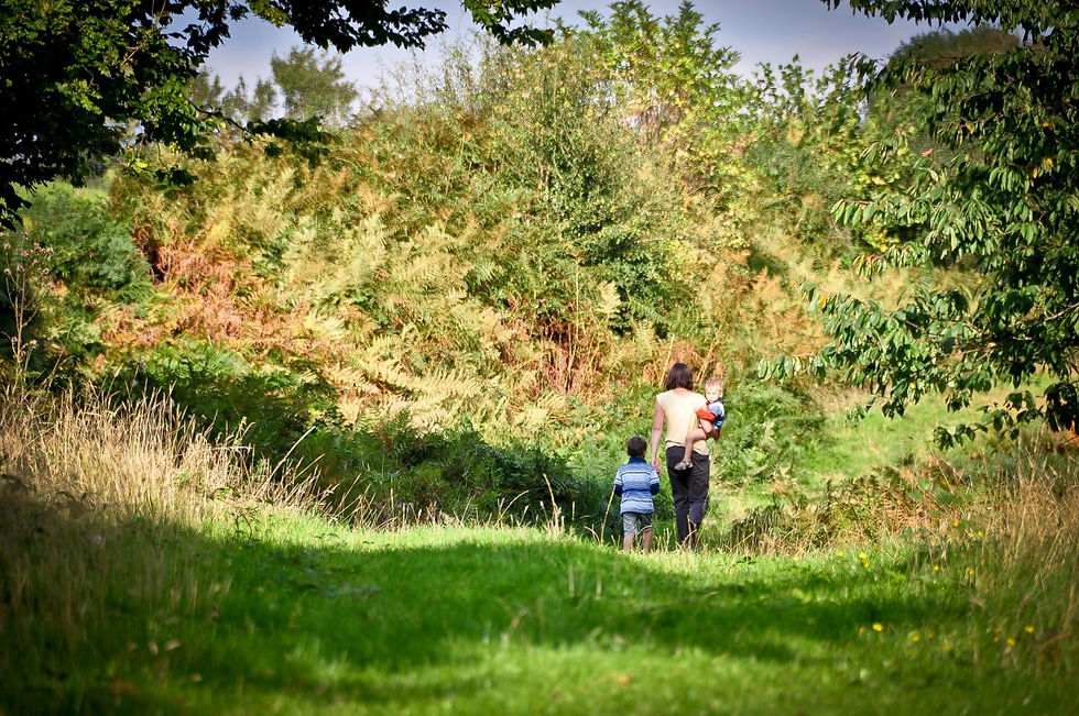 Family Bushcraft Activities and Forests Bathing with Wildeye Adventures at Pegs and Pitches Beech Estate Campsite in Kent: Reconnect, Explore and Learn.