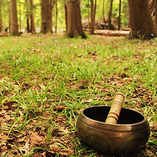 Woodland-wellbeing-days-south-east.jpg