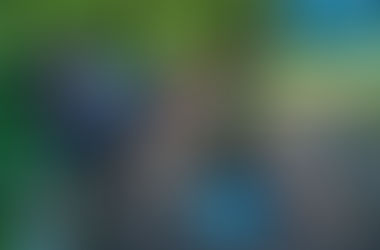 Why Outdoor Team Building & Wellbeing Days Are Transforming Workplace Culture