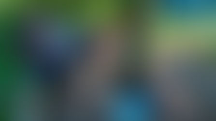 Why Outdoor Team Building & Wellbeing Days Are Transforming Workplace Culture