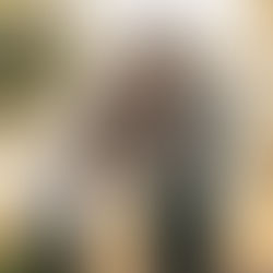 Family Photo Session - K&B