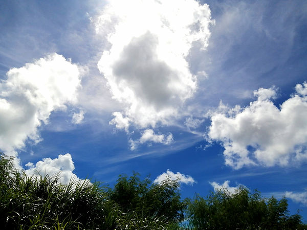 20230117_125434.jpg