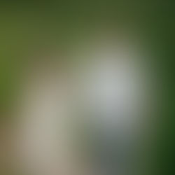 Engagement Photo Session - K&B