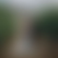 Wedding Sneak Peek - J&D