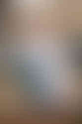 Family Photo Session | Family Photographer Kelowna - Fall Photo Session at Gellatly Nut Farm Park