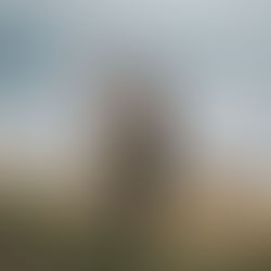 Family Photographer Kelowna | Bertram Creek Photo Session