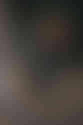 Halloween Pumpkin Heads at Mission Creek Park, Kelowna