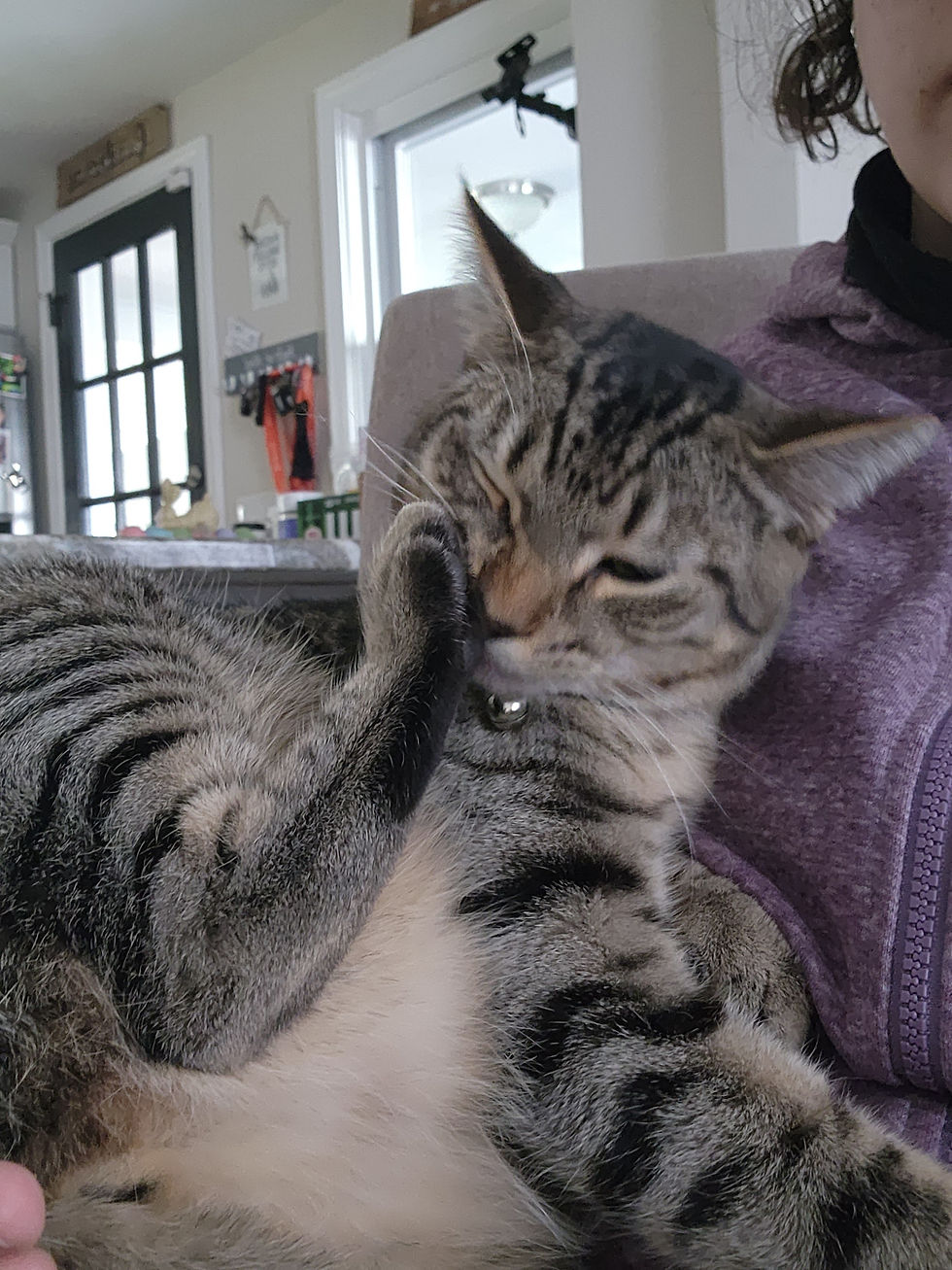 Archie