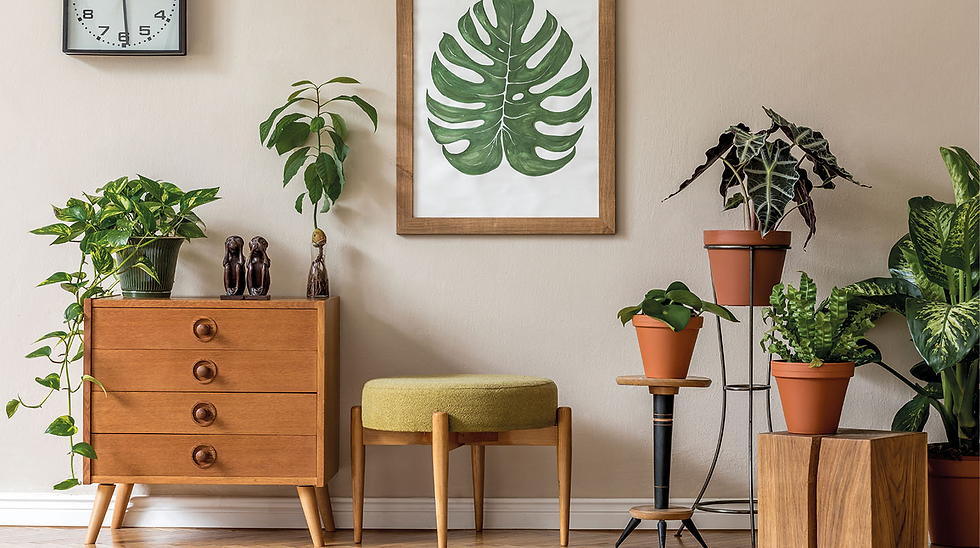 Dicas de decoração Astúrias