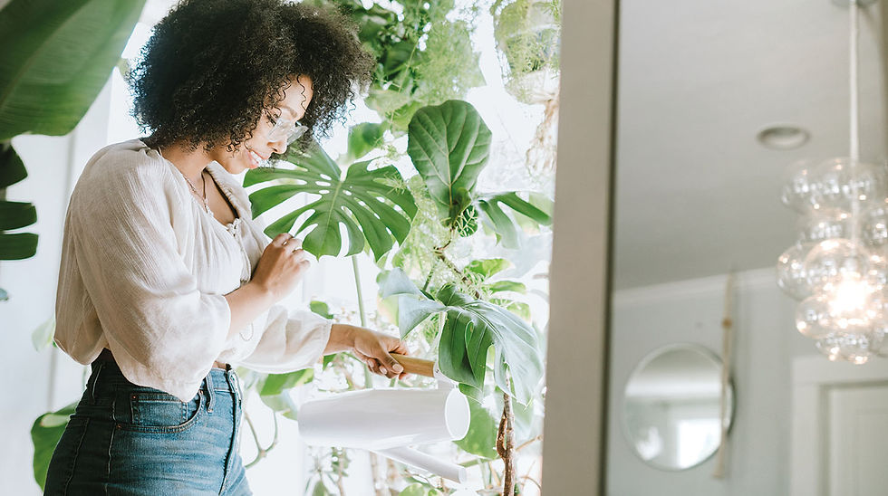 Dicas de decoração Astúrias