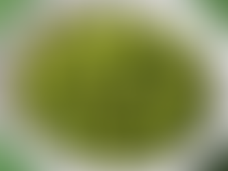 Uncovering the Natural Healing Power of Ayurvedic Herbal Remedies for Peptic Ulcers