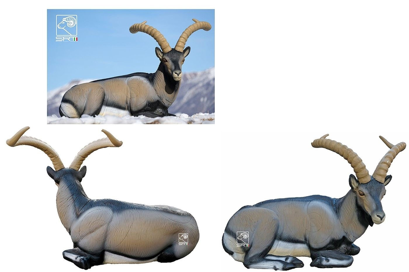 IBERIAN WILD GOAT (bedded) - GROUP 1 - L96cm H43cm
