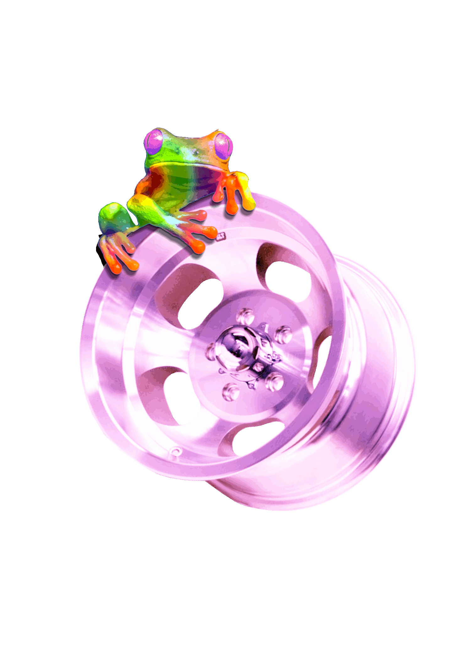 Spacefrog Wolfrace.gif