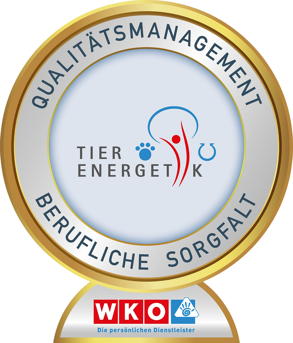 Siegel_Qualitätsmanagement Humanenergetik