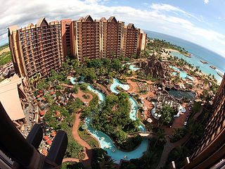 Disney Aluani