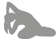 YogaPoses_edited_edited.png