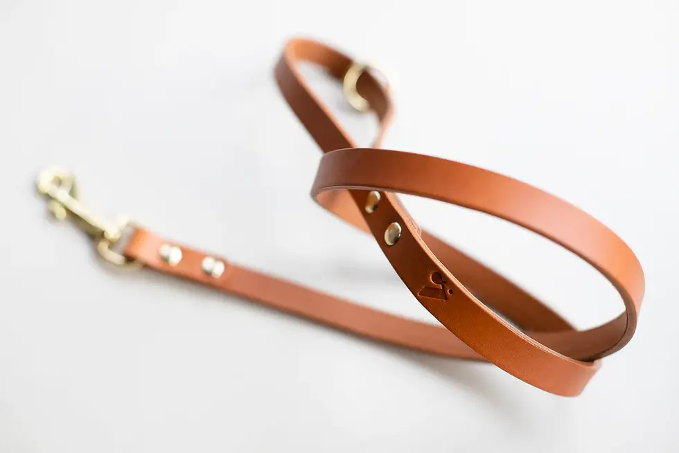 Thumbnail: Vackertass Lead