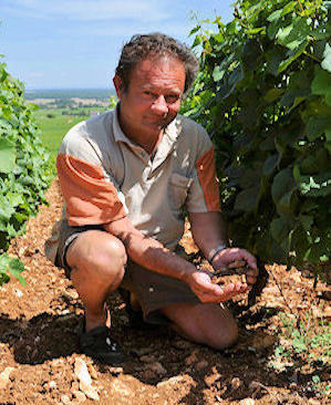 Domaine Laurent Roumier