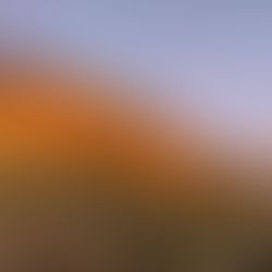 Busting the 'musts': A handheld stitched panorama at sunrise