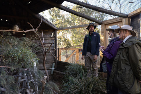 Bonorong-Wildlife-Sanctuary