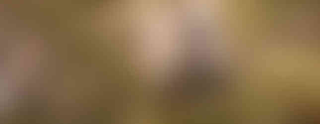 A wombat emerging from behind the trees