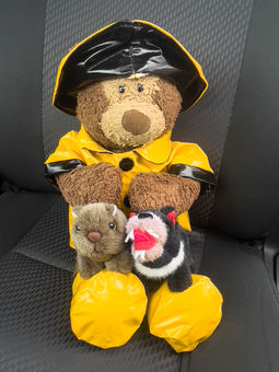 Adventures-with-Jo-and-Di-November-2025-41