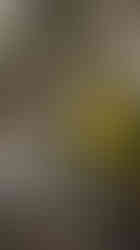 Adventures-with-Jo-and-Di-November-2025-31