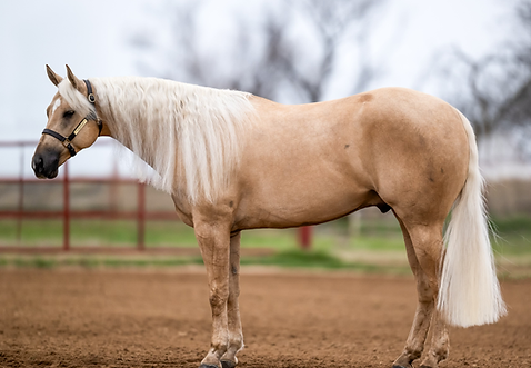 October 5, 2024 (3)_edited.jpg