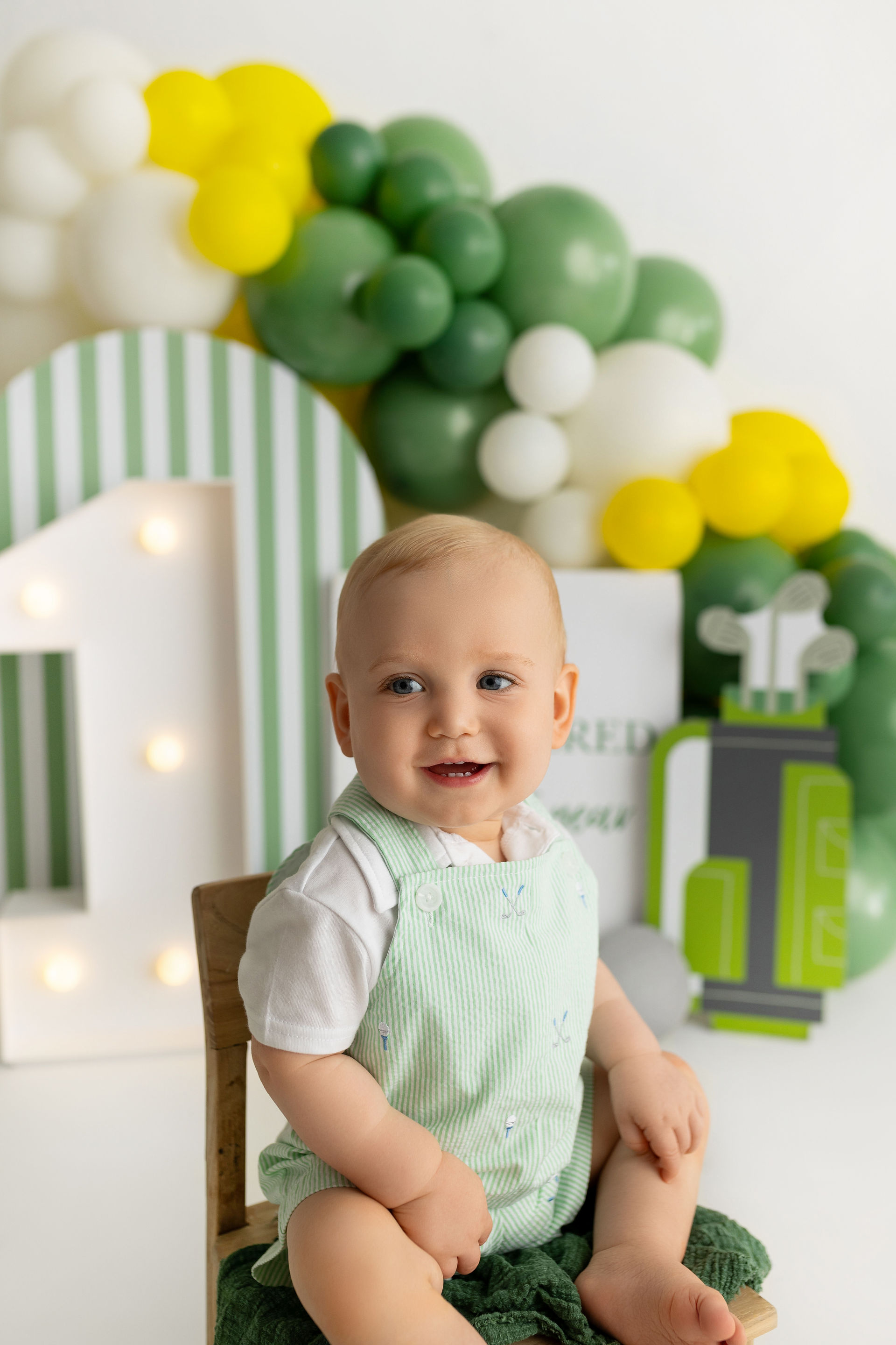 one year old birthday portrait