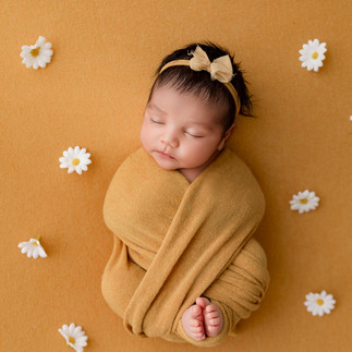 newborn girl posed on yellow backdrop