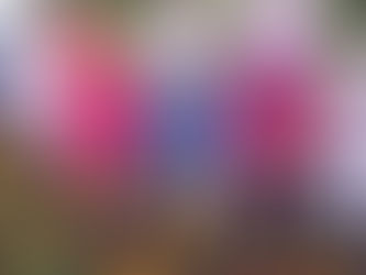 Осенние хлопоты