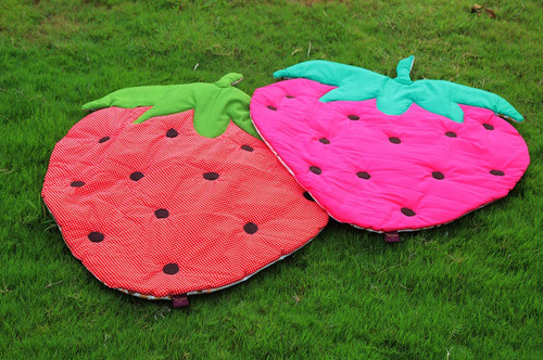 Strawberry(36