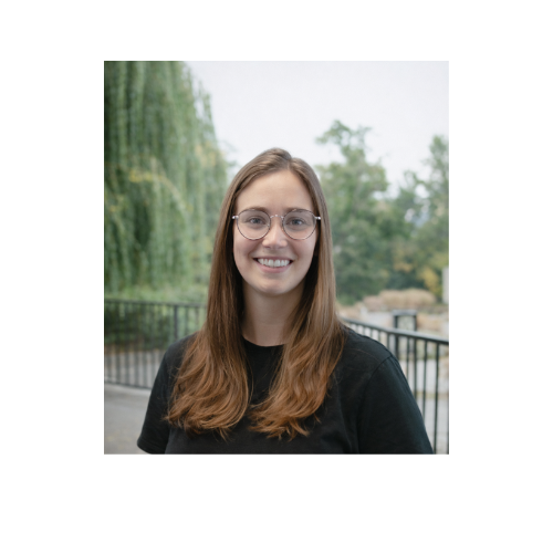 Use this Light bulb (Logo).png