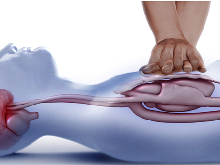 CPR Training - My Experience