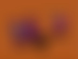 No Problems with the N/P Ratio 