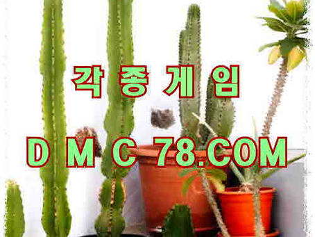 맞고사이트 엔터테인먼트 요소