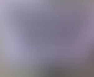 Mudas de árvores nativas são plantadas no Parque de Coqueiros, na Capital