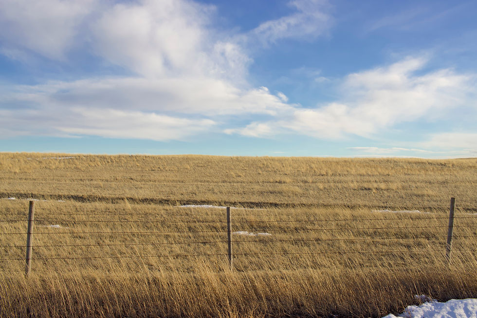 AdobeStock_932430012.jpeg