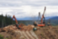 AdobeStock_84110599.jpeg