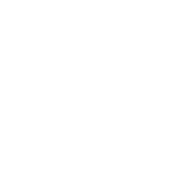 Brand Overview (2)_edited.png