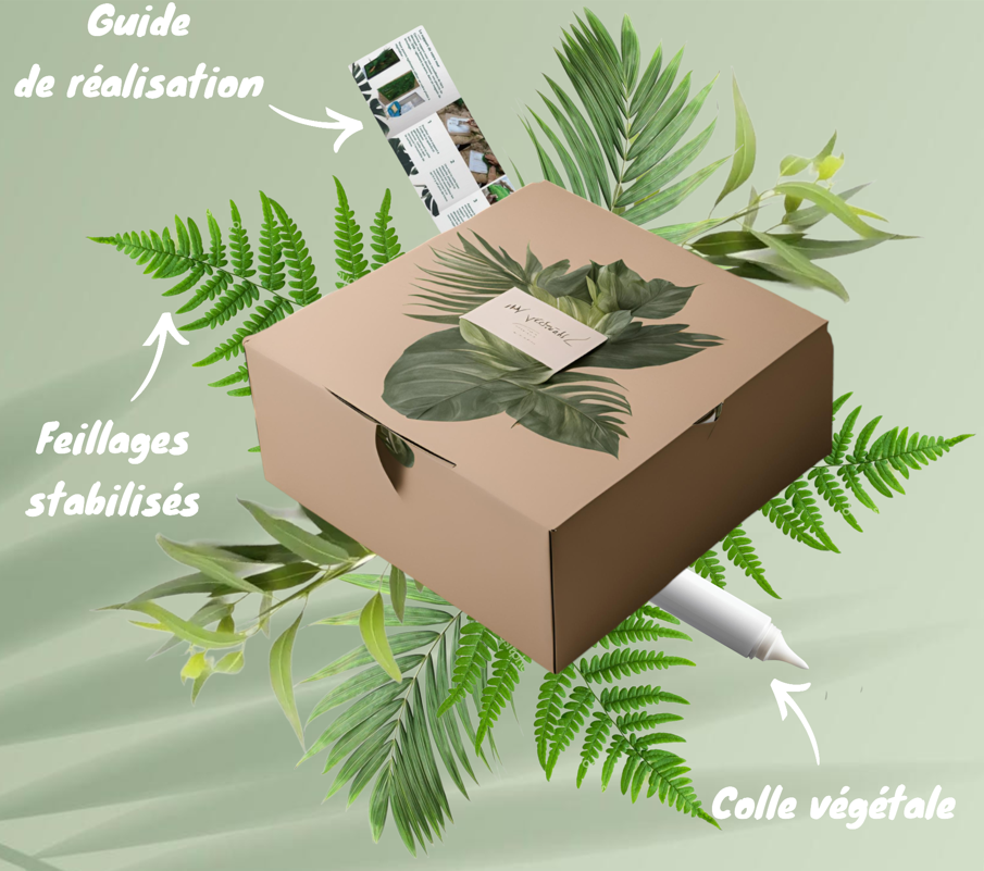 Miniature : Kit mur végétal  "PARIS"