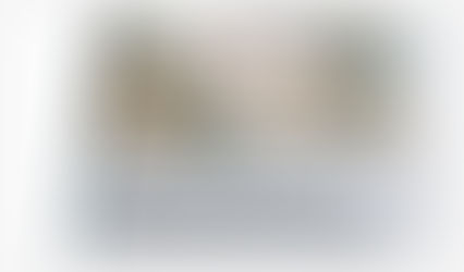 Comerciantes asiáticos compran terreno en cerrillos para bodegas en US$ 8 millones...