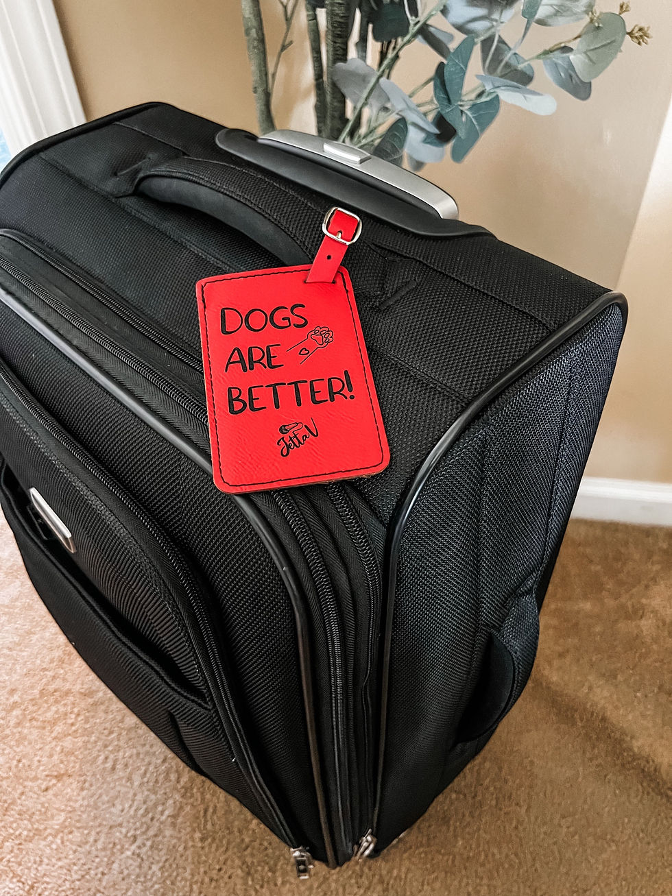 Thumbnail: Dogs Are Better Luggage Tags