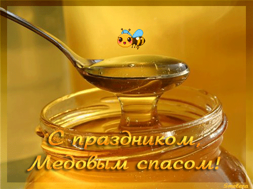 Бесплатное обучение