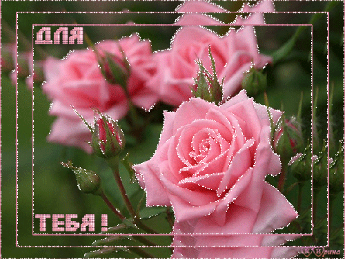 Бесплатное обучение