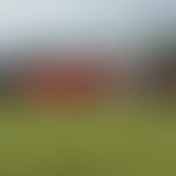 Senior Hurling