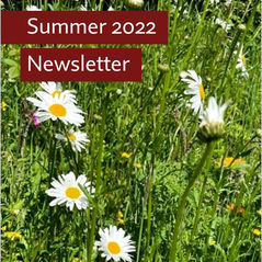 Summer Newsletter 2022