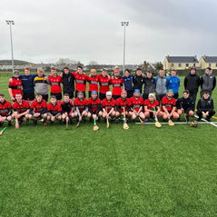 Quarter Final exit for Hurlers